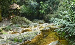 鼎湖山自驾游攻略 广州去肇庆鼎湖山攻略 鼎湖山自驾游攻略 广州去肇庆鼎湖山攻略