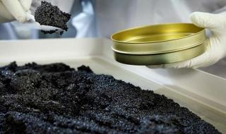 鱼子酱为什么这么贵