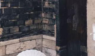 散字,怎么读 雨字头散字底念什么 散字,怎么读 雨字头散字底念什么