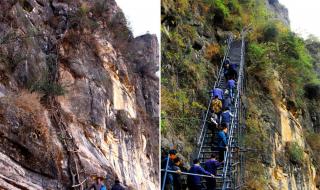 11月22号属于什么星座 11月22号属于什么星座